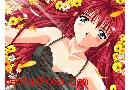 Voir la galerie d'images Ecchi 20